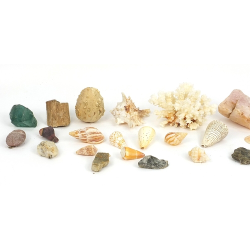 27 - Selection of seashells, coral and quartz, the coral 16cm wide