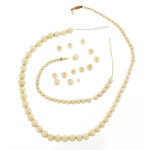 2181 - Graduated simulated pearl necklace with 9ct gold clasp, 56cm in length, 18.3g