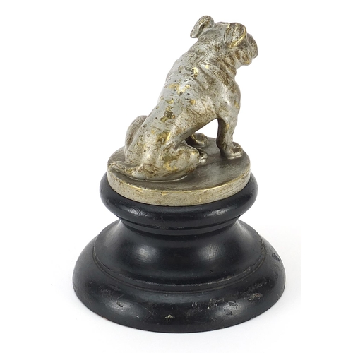 104 - Motoring interest silvered brass Bulldog car mascot raised on later ebonised base, 14.5cm high
