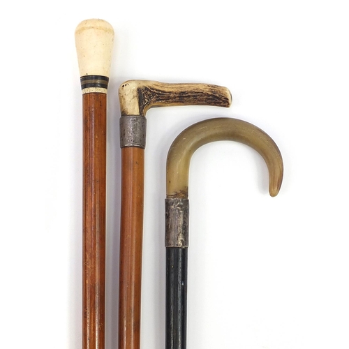 950 - Three walking sticks including an ebonised example with horn handle and silver collar and one with i... 