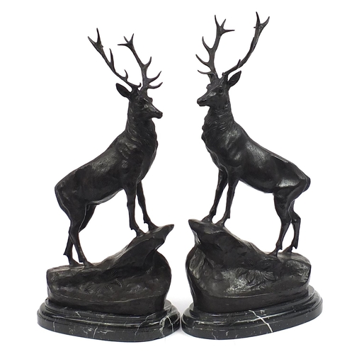 956 - Pair of large patinated bronze stags raised on oval marble stepped bases, each 74cm high