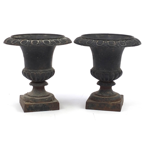 954 - Pair of Victorian cast iron Campana urn planters, 30.5cm high x 28cm in diameter