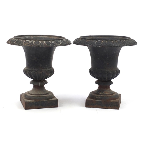 954 - Pair of Victorian cast iron Campana urn planters, 30.5cm high x 28cm in diameter