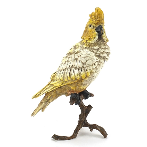 922 - Cold painted bronze cockatiel on a branch in the style of Franz Xaver Bergmann, 30cm high