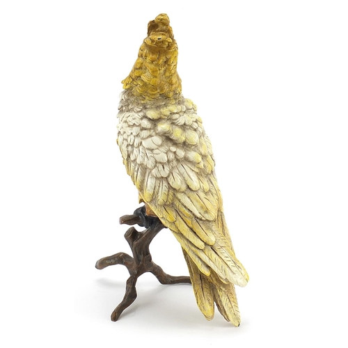 922 - Cold painted bronze cockatiel on a branch in the style of Franz Xaver Bergmann, 30cm high