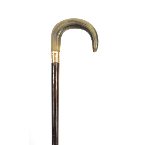 945 - Rosewood walking stick with horn handle and 9ct gold collar impressed Kendall, 86cm in length