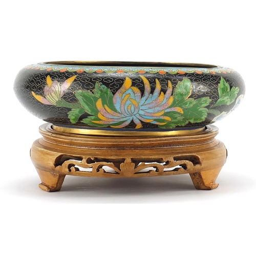 980 - Chinese cloisonne bowl and hardwood stand enamelled with birds amongst flowers, 20.5cm in diameter