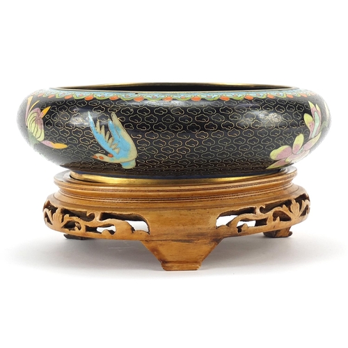 980 - Chinese cloisonne bowl and hardwood stand enamelled with birds amongst flowers, 20.5cm in diameter