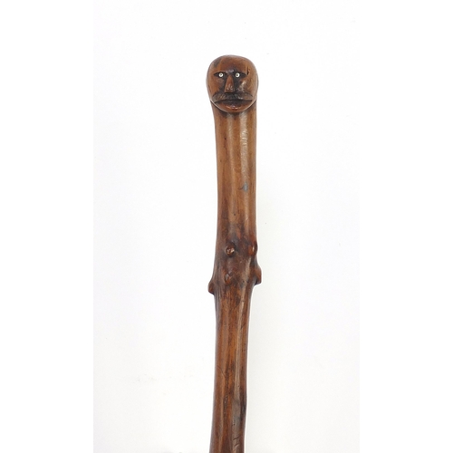 949 - Root wood walking stick with carved figural pommel, 88cm in length