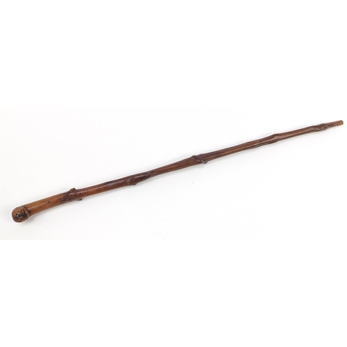 949 - Root wood walking stick with carved figural pommel, 88cm in length