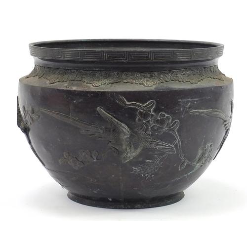 982 - Large Japanese patinated bronze jardiniere cast in relief with birds of paradise, 25.5cm high x 35cm... 