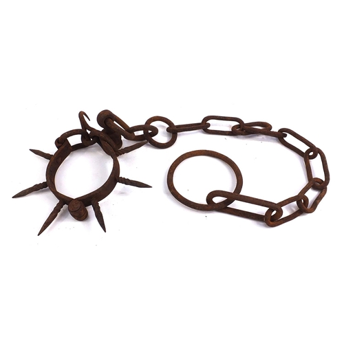 1041 - Antique iron spiked dog collar with chain, 30cm in diameter