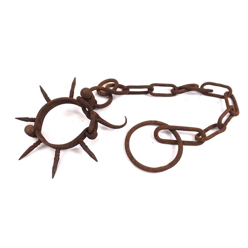 1041 - Antique iron spiked dog collar with chain, 30cm in diameter