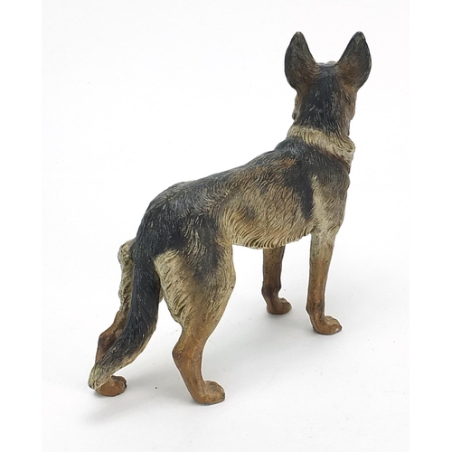 913A - Large cold painted bronze German Shepherd, CH Fenton of Kentwood, winner of Crufts best in show 1965... 