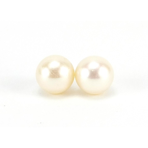 305 - Pair of 9ct gold cultured pearl stud earrings, 9mm in diameter, 2.4g