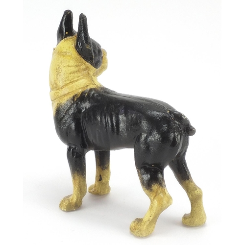 615 - Painted cast iron standing French Bulldog, 20cm high