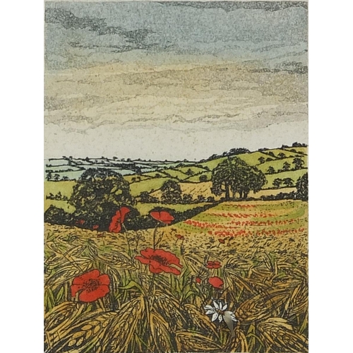 1197 - Mary George - Winter Sun, Barley Field, Coastal Path and Gateway, set of four pencil signed prints i... 