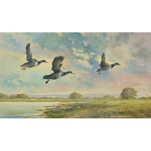 609 - Derek C Baulcomb 2001 - Three geese flying above water, mixed media, mounted, framed and glazed, 48.... 