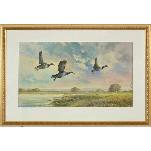 609 - Derek C Baulcomb 2001 - Three geese flying above water, mixed media, mounted, framed and glazed, 48.... 