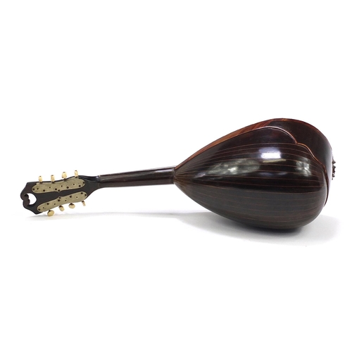 401 - Italian rosewood mandolin with mother of pearl and tortoiseshell inlay, bearing a Raffaele Maratea N... 