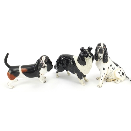 524 - Four Coalport dogs and a Beswick Collie dog, the largest 18cm in length