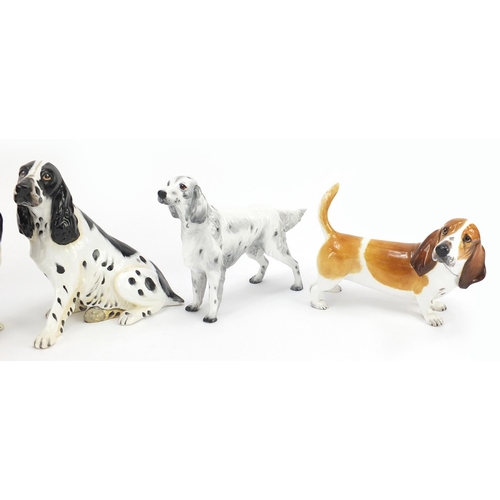 524 - Four Coalport dogs and a Beswick Collie dog, the largest 18cm in length