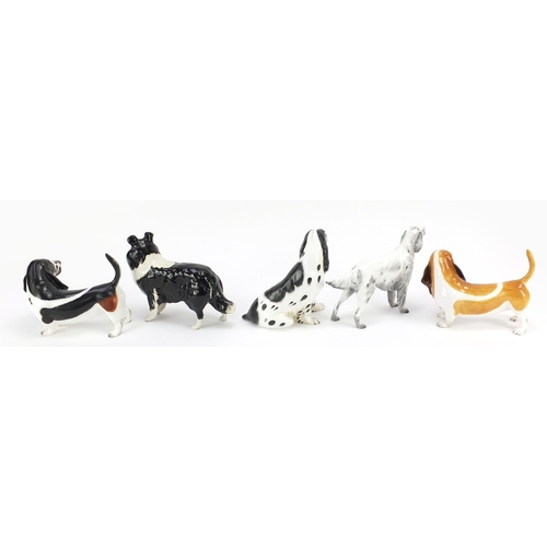 524 - Four Coalport dogs and a Beswick Collie dog, the largest 18cm in length