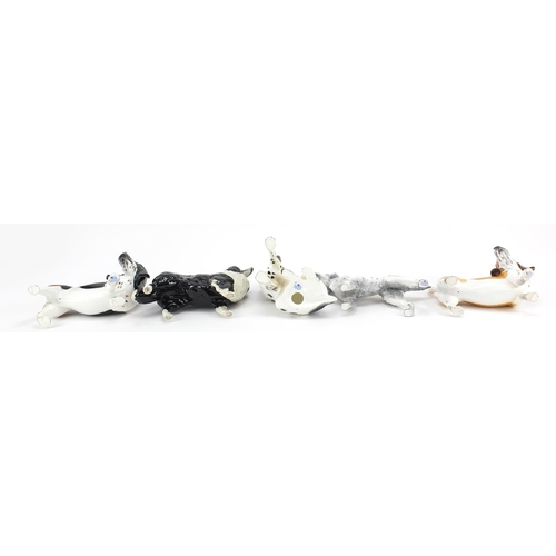 524 - Four Coalport dogs and a Beswick Collie dog, the largest 18cm in length