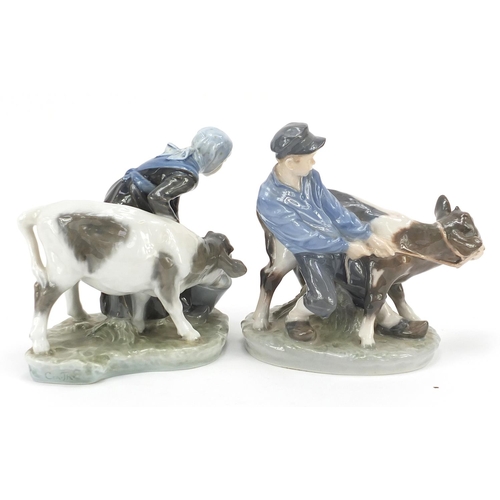 526 - Two Royal Copenhagen figures of a young boy and girl with calves, each 16cm in length