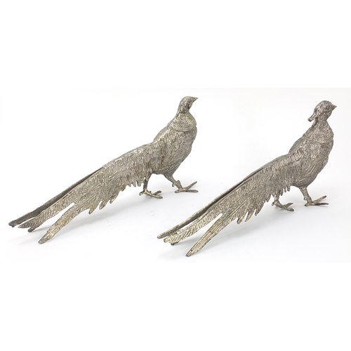 696 - Pair of silver plated pheasants, the largest 28cm in length