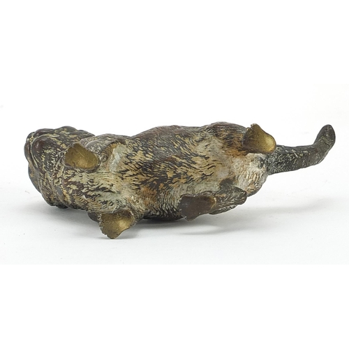 483 - Victorian patinated bronze cat, 11.5cm in length