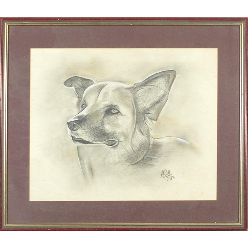 608 - A Gill - Portrait of a dog, heightened charcoal, inscribed Brennen verso, mounted, framed and glazed... 