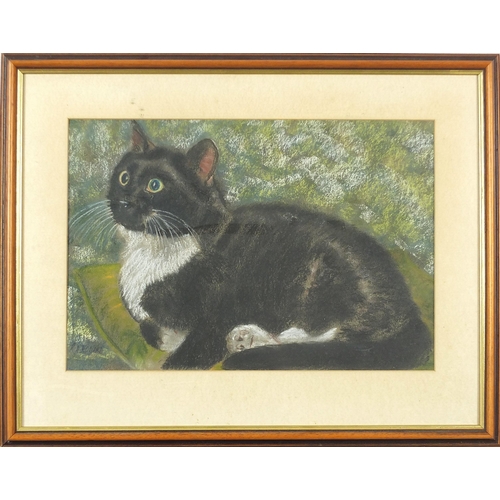 744 - Richard A Howard - The Artist's Cat, pastel, mounted, framed and glazed, 40cm x 28cm excluding the m... 