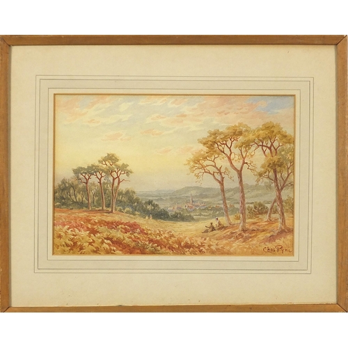 983 - Charles Pyne - Redhill Common, 19th century signed watercolour, mounted, framed and glazed, 22.5cm x... 