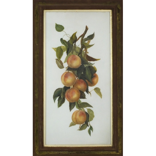 775 - Still life, grapevines and peaches, pair of mixed medias on opaque glass, R Jackson & Son Liverpool ... 