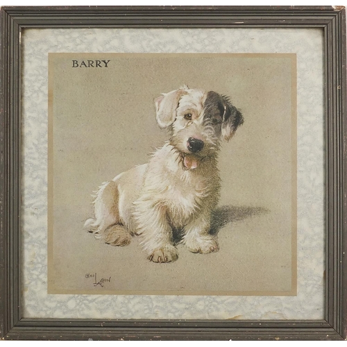 633 - After Cecil Aldin - Portrait of an Sealyham Terrier called Barry, print in colour, mounted, framed a... 