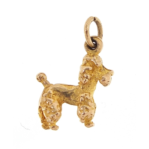 2008 - 9ct gold poodle charm, 1.1cm wide, 1.5g