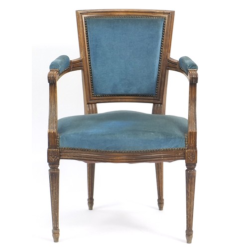 883 - French style walnut salon chair with blue upholstered back and seat, 88cm high