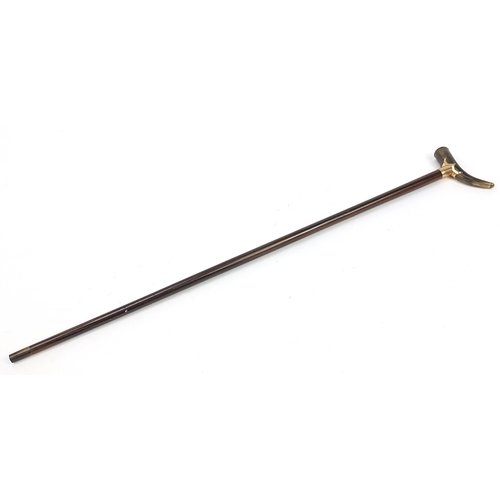 499 - Victorian coromandel walking stick with horn handle and 9ct rolled gold mounts, 94.5cm in length