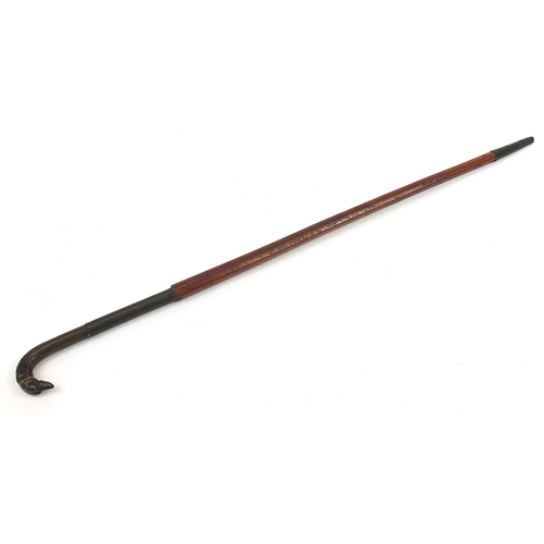 502 - Hardwood walking stick with carved horn dog's head design handle, 88.5cm in length