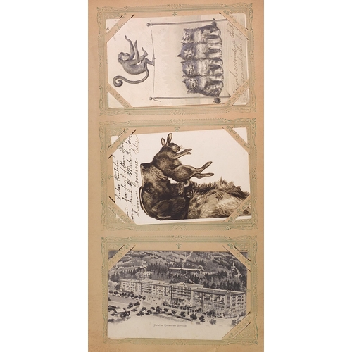 684 - Collection of early 20th century and later social history and topographical postcards arranged in an... 