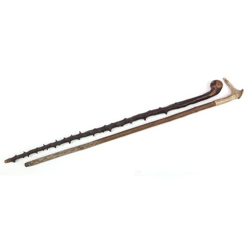 1303 - Naturalistic shepherd's crook with antler horn whistle handle and one other, the largest 94cm in len... 