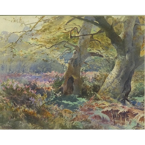 525A - Henry Richard Beadon Donne - A study in the New Forest, England, watercolour, mounted framed and gla... 