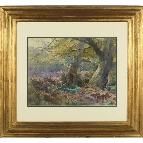 525A - Henry Richard Beadon Donne - A study in the New Forest, England, watercolour, mounted framed and gla... 