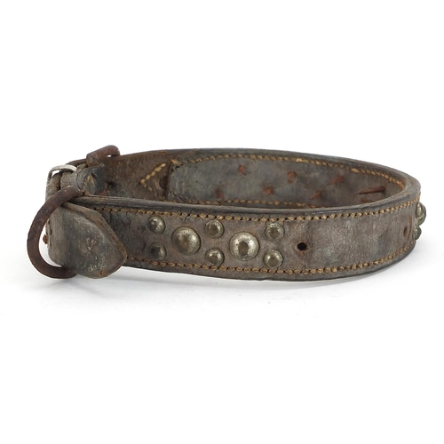 389 - 19th century spiked leather dog's collar