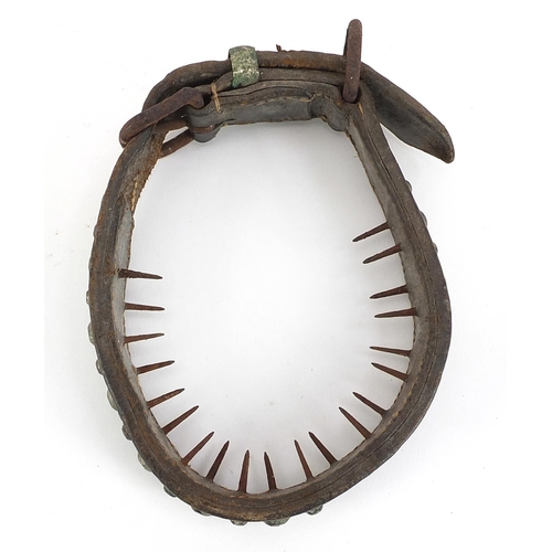 389 - 19th century spiked leather dog's collar