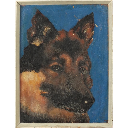 415 - Portrait of a German Shepherd, oil on canvas, framed, 50cm x 37cm excluding the frame