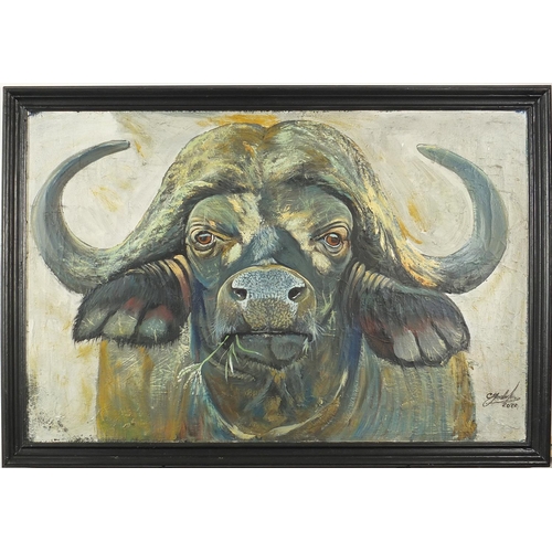 174 - Clive Fredriksson - Portrait of a buffalo, oil on canvas, mounted and framed, 90cm x 60cm excluding ... 