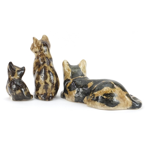 549 - Three Winstanley pottery cats, the largest 26.5cm in length