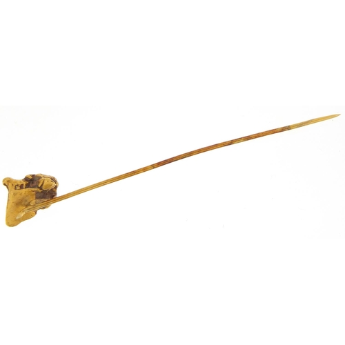 2077 - Unmarked gold nugget stickpin mounted on a Dawson Y.T card, 6.5cm high, 2.5g